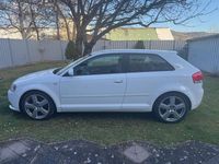 Gebraucht Audi A3 S-Line 105 PS (77 kW) 2007 Weiß Kleinwagen