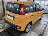 Gebraucht Fiat Panda 69 PS (50 kW) 2021 Orange Kleinwagen