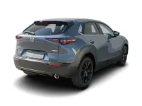Gebraucht Mazda CX-30 Homura-Line 2022 Grau SUV