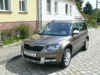 Gebraucht Skoda Yeti Adventure 105 PS (77 kW) 2015 Matobraun metallic (metallic) SUV