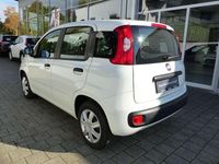 Gebraucht Fiat Panda Lounge 69 PS (50 kW) 2018 Gelato weiß 296 Kleinwagen