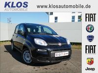 Gebraucht Fiat Panda 69 PS (50 kW) 2024 Schwarz Kleinwagen