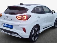 Neu Ford Puma ST-Line X 155 PS (114 kW) 2026 Weiß SUV