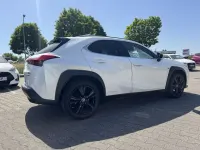 Gebraucht Lexus UX 250h 152 PS (111 kW) 2021 Sonic white SUV
