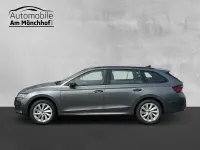 Neu Skoda Octavia Selection 150 PS (110 kW) 2025 Grau Kombi