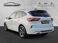 Gebraucht Ford Kuga ST-Line 186 PS (136 kW) 2026 Weiß SUV