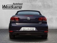 Gebraucht VW Golf Cabriolet Basis 105 PS (77 kW) 2015 Violet Cabrio