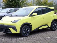 Neu BYD Dolphin Boost 64 kW (88 PS) 2025 Grün Kleinwagen