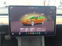 Gebraucht Tesla Model 3 Standard Range 225 kW (306 PS) 2023 Grau Limousine