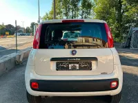 Gebraucht Fiat Panda Easy 69 PS (50 kW) 2019 Kleinwagen