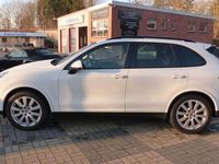 Gebraucht Porsche Cayenne Platinum Edition 324 PS (238 kW) 2017 Weiss SUV