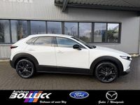 Neu Mazda CX-30 Homura-Line 140 PS (102 kW) 2026 Weiß SUV