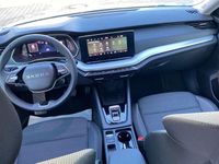 Gebraucht Skoda Octavia Selection 150 PS (110 kW) 2025 Moon white Kombi