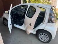 Gebraucht Citroën C1 68 PS (50 kW) 2013 Weiß Kleinwagen