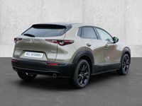 Neu Mazda CX-30 Homura-Line 140 PS (102 kW) 2025 Beige SUV