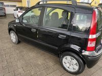 Brugt Fiat Panda Dynamic 60 HK (44 kW) 2009 Sort Hatchback