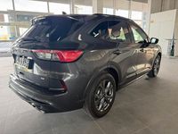 Gebraucht Ford Kuga ST-Line X 150 PS (110 kW) 2020 Grau SUV