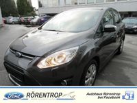 Gebraucht Ford C-MAX 116 PS (85 kW) 2014 Grau Van / Kleinbus