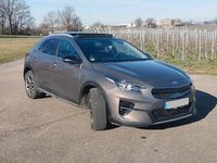 Gebraucht Kia XCeed Platinum 105 PS (77 kW) 2020 Braun SUV