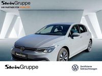 Gebraucht VW Golf VIII Move 150 PS (110 kW) 2023 Grau Kleinwagen