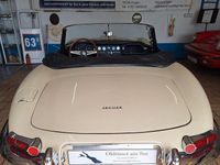 Gebraucht Jaguar E-Type S 269 PS (197 kW) 1963 Weiß Cabrio