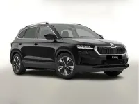 Neu Skoda Karoq Selection 150 PS (110 kW) 2026 Moonweiß perleffekt SUV