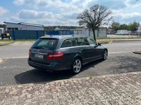 gebraucht Mercedes E220 CDI T / Avantgarde/ AMG Paket