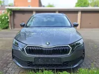Neu Skoda Octavia Comfort 150 PS (110 kW) 2026 Grau Limousine