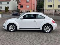 Gebraucht VW Beetle Basis 105 PS (77 kW) 2014 Pure white Kleinwagen