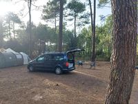 Gebraucht VW Caddy Maxi Trendline 125 PS (91 kW) 2017 Van / Kleinbus