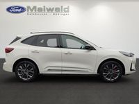 Neu Ford Kuga 190 PS (139 kW) 2026 Metropolisweiß metallic SUV