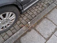 Gebraucht Citroën C5 136 PS (100 kW) 2005 Grau Limousine