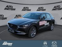 Gebraucht Mazda CX-30 Selection 150 PS (110 kW) 2023 Machine gray (metallic) SUV