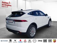 Occasion Jaguar E-Pace S 179 ch (131 kW) 2021 Blanc SUV