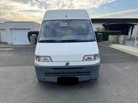 Gebraucht Fiat Ducato 87 PS (63 kW) 1999 Weiß Van