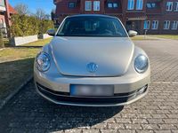Gebraucht VW Beetle Design 105 PS (77 kW) 2015 Silber Kleinwagen