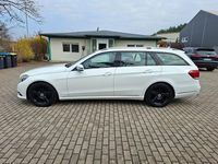 Gebraucht Mercedes E220 170 PS (125 kW) 2014 Weiß Kombi