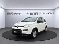 Gebraucht Fiat Panda 69 PS (50 kW) 2025 Weiß Limousine