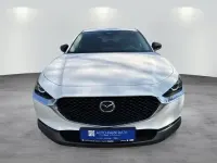 Neu Mazda CX-30 Homura-Line 186 PS (136 kW) 2026 Weiß SUV