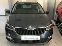 Gebraucht Skoda Fabia Style 110 PS (80 kW) 2020 (grau metallic) Kleinwagen