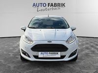 Gebraucht Ford Fiesta Trend 101 PS (74 kW) 2015 Weiß Kleinwagen