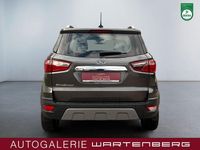 Gebraucht Ford Ecosport Titanium 101 PS (74 kW) 2019 Grau SUV