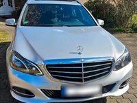 Gebraucht Mercedes E220 Elegance 170 PS (125 kW) 2014 Silber Kombi