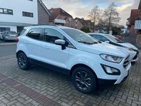 Gebraucht Ford Ecosport 125 PS (91 kW) 2018 Weiß SUV