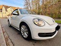 Gebraucht VW Beetle Cabriolet 105 PS (77 kW) 2016 Weiß Cabrio
