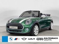 Gebraucht Mini Cooper Cabriolet Chili 136 PS (100 kW) 2021 Grün Cabrio