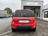 Gebraucht Fiat Panda Sport 69 PS (50 kW) 2021 Bartolino rot Kleinwagen