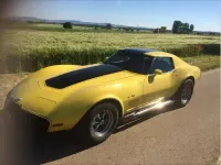 Gebraucht Chevrolet Corvette C3 210 PS (154 kW) 1977 Gelb Cabrio