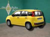 Neu Fiat Panda Icon 65 PS (47 kW) 2026 Gelb Kleinwagen