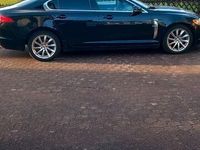 gebraucht Jaguar XF 3.0 V6 Diesel s Premium Luxury neu tüv